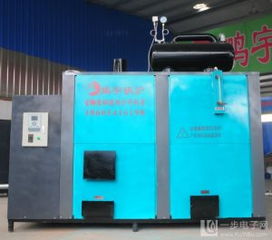 食用菌專用蒸汽環(huán)保鍋爐 綠色高效，助力食用菌產(chǎn)業(yè)可持續(xù)發(fā)展